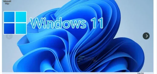 Windows 11 Professional Version Dev Build 21996.1 logo