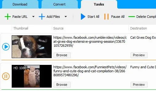 Social Media Downloader
