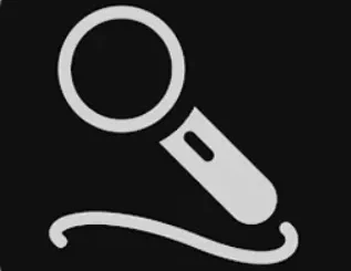 SingNext Receiver