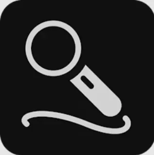 SingNext Receiver
