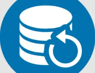 KLS Backup Professional