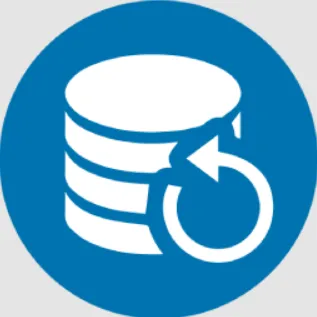 KLS Backup Professional