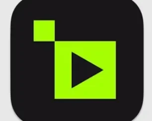 Topaz Video Pro