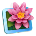 LilyView 1.6.0