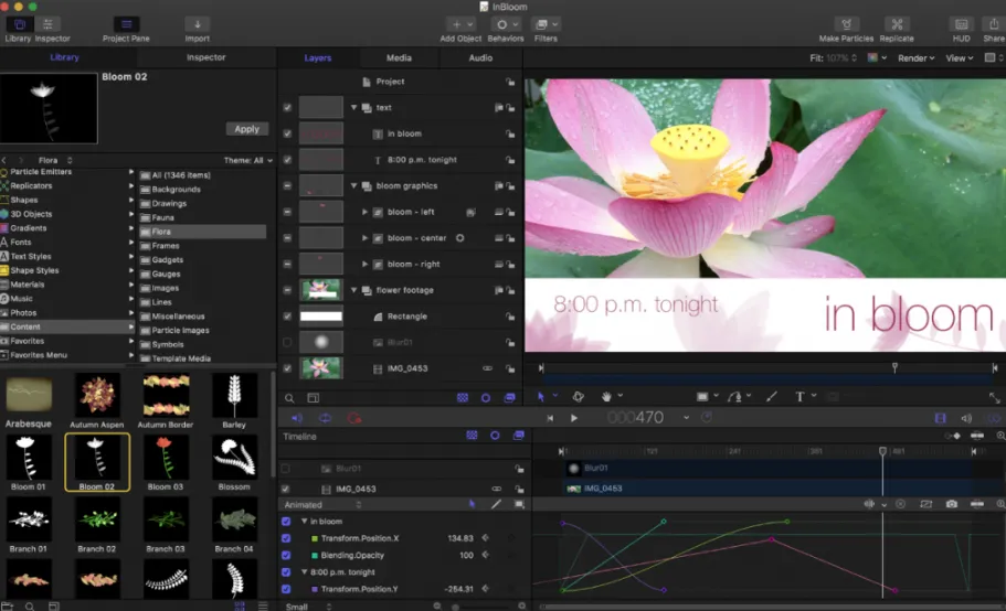 Motion 6.2