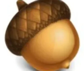 Acorn 8.4.1