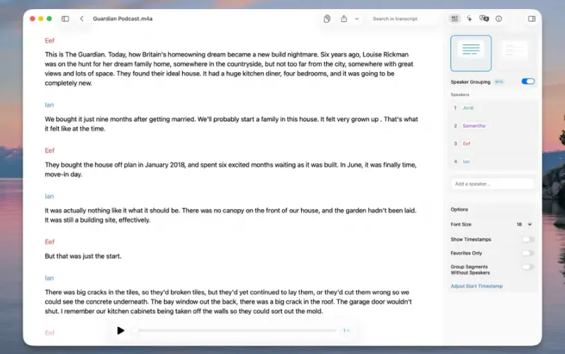 Whisper Transcription 13.13