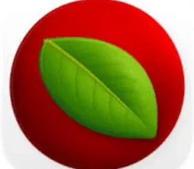 Lingon Pro 10.1.4