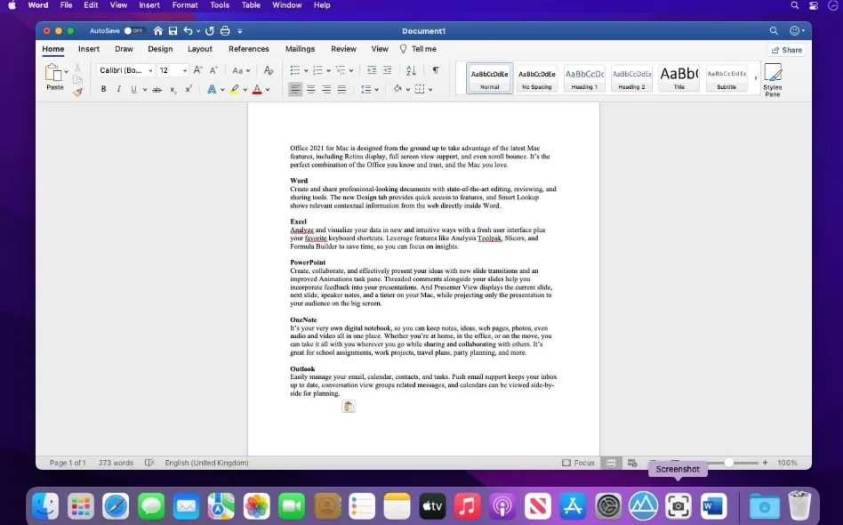 Microsoft Office 2024 v16.107