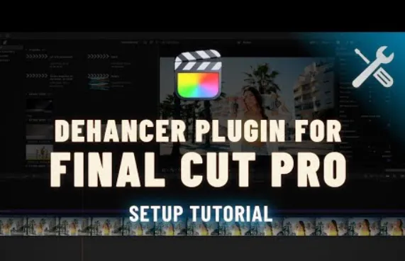 Dehancer Pro 7.3.4
