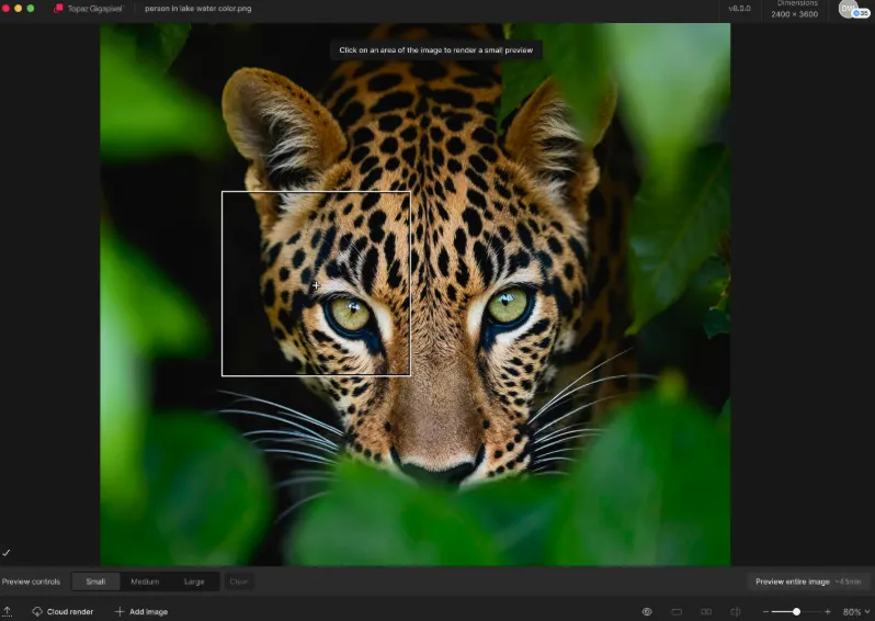 Topaz Gigapixel Pro 1.1.0
