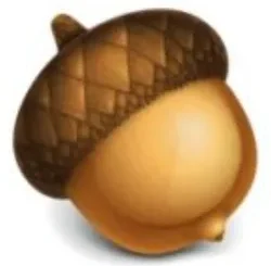Acorn 8.2.0