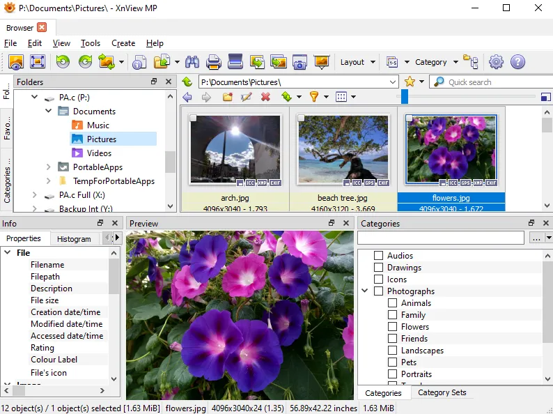 XnViewMP 1.9.5