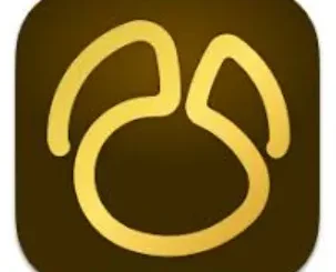 Navicat Premium 17.3.3