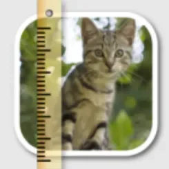 SizeMyPics 1.8.1