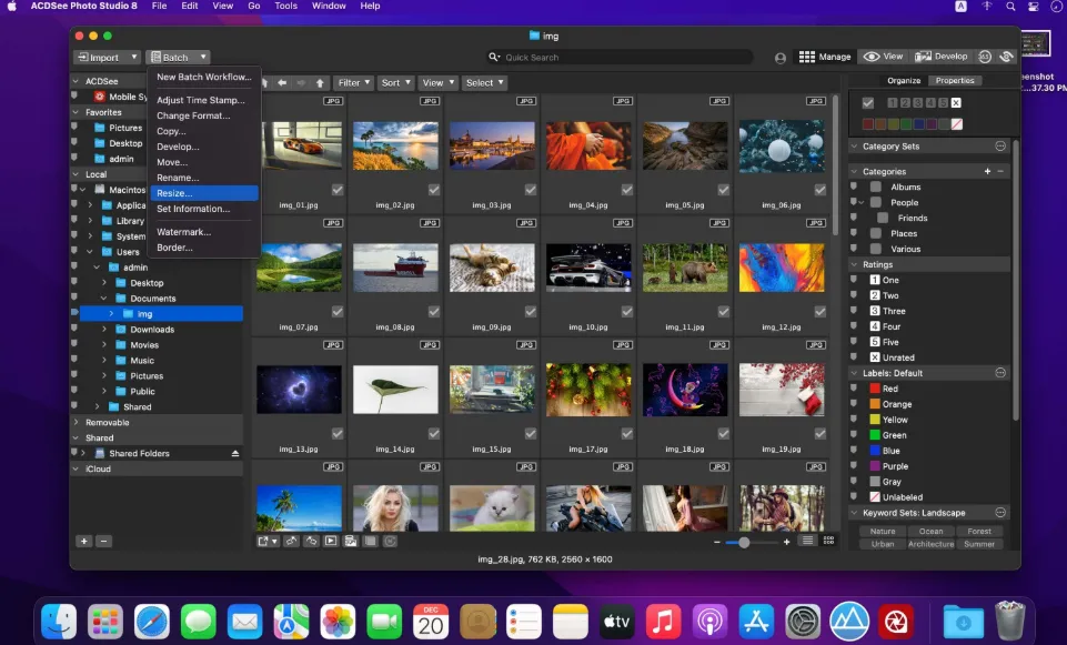 ACDSee Photo Studio 11.0.2