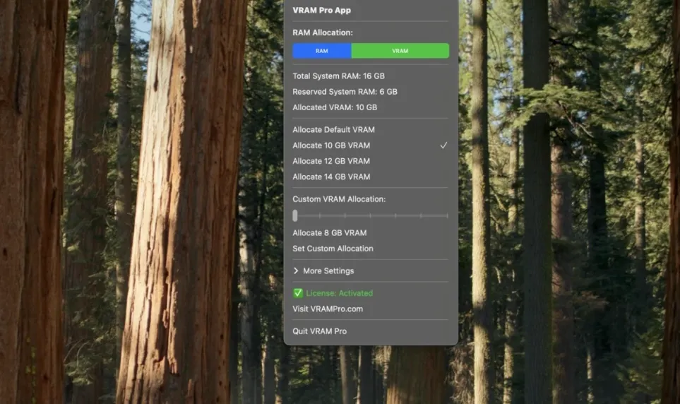 VRAM Pro 2.1.4