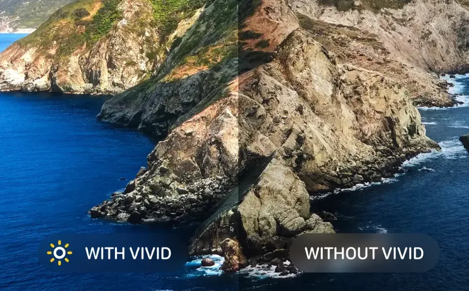 Vivid 2.13