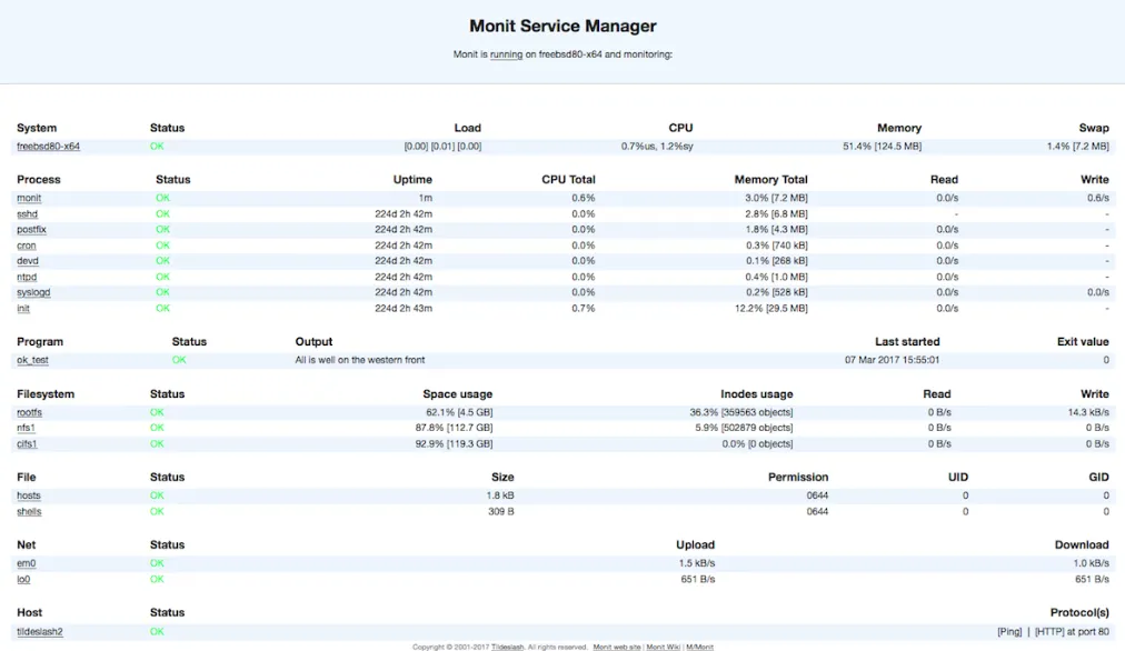 Monit 2.2.4
