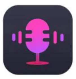 ViWizard Audio Capture 2.6.0