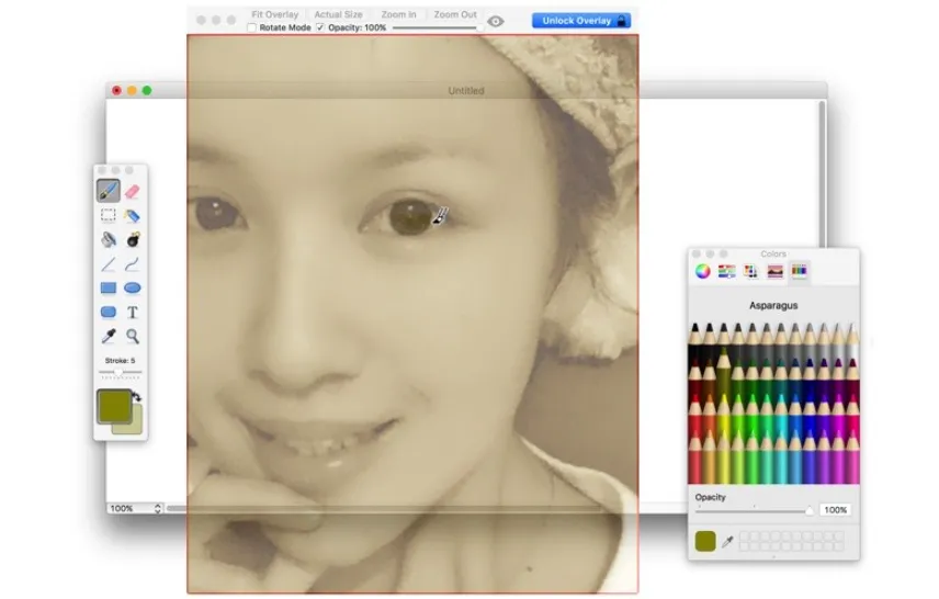 Overlay 4.33