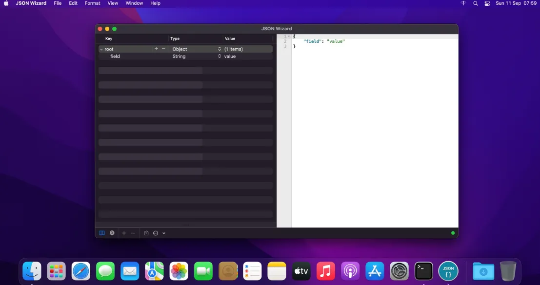 JSON Wizard 2.4