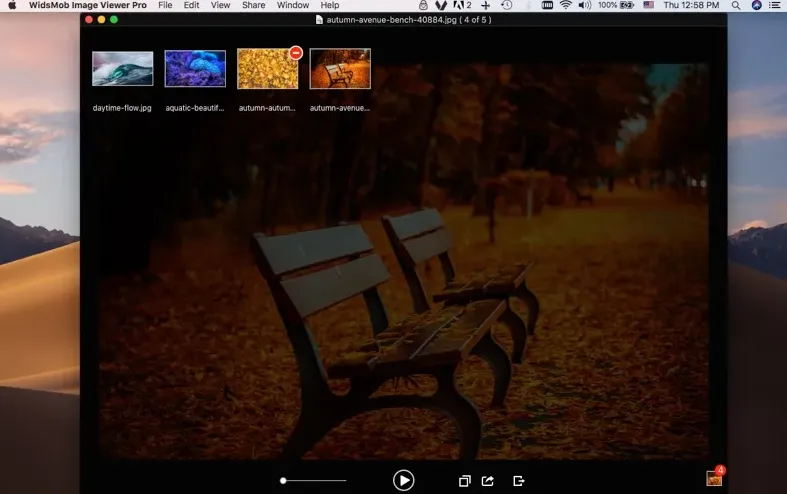 WidsMob Viewer Pro 2.20