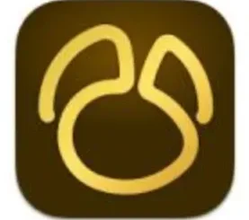 Navicat Premium 17.2.6