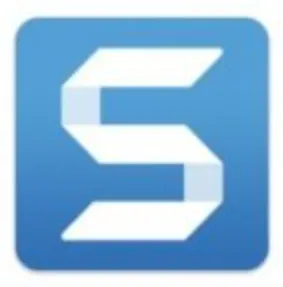 TechSmith Snagit 2024.4.4