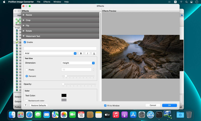 NCH Pixillion Image Converter Plus 8.59 For MacOS