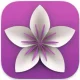 Vellum