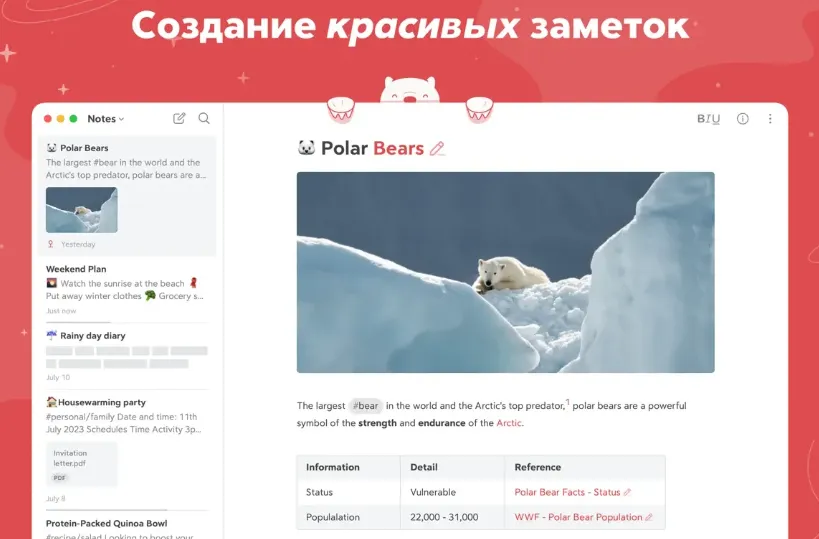 Bear